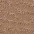 Beige 1733
