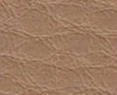 Beige 1733