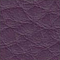 Violet 1736