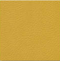 Yellow 1652