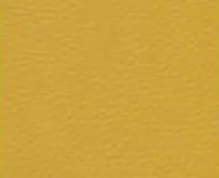 Yellow 1652