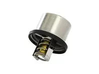 Thermostat Insert, 82°C. Porsche Carrera GT 2003-06 - 9971062258A, 98010612501, 98010612503 - 27705