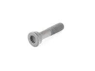Torx head bolt for camshaft sprocket. Porsche 996 turbo / 996 GT3 - 99610531390, 99610531391