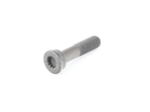 Torx head bolt for camshaft sprocket. Porsche 996 turbo / 996 GT3 - 99610531390, 99610531391