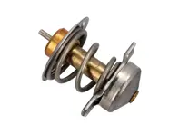 Water Thermostat Insert. Porsche 996 Turbo / 997 TT & GT3 / 955 Cayenne - 99610612570, 99610612571, 99610612572, 99610612573 - 7307.04.83D70