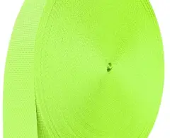 Lizard Green