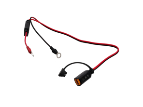 CTEK battery conditioner CTX indicator with M8 eyelet - 40-133