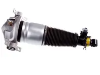 Rear air suspension strut unit. Porsche Cayenne 2002 - 2010 - 350019000001, 95533303444/1, 95533303342, 95533303343, 95533303344, 95533303320, 95533303321, 9553330332, 95533303442, 95533303443, 95533303444, 95533303420, 95533303421, 95533304322, 350019100001, 95533303344/1