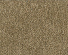 Alcantara 1112