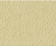 Alcantara 1594