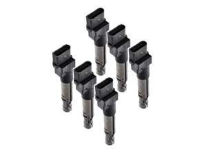 Ignition coil pack. Porsche Cayenne 955 V6 / Cayenne 957 V6 - 95560210105, 0040102044, 40102041, 95560210100, 95560210101, 95560210102, 95560210103, 95560210104, 95560210105, 95860210100 - ZSE044, ZSE044