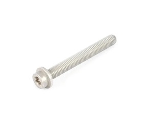Engine mount bolt M10x80 Porsche Cayenne / 95B Macan / 970 Panamera - 99906780230, WHT005204