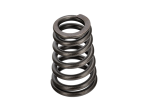 Valve spring. Porsche 996 3.6L 08/2001>> - 99610511801
